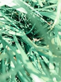 A close-up view of densely packed green blades of artificial grass with varying shades of green and some sunlight creating bright highlights on the synthetic strands.