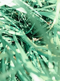 A close-up view of densely packed green blades of artificial grass with varying shades of green and some sunlight creating bright highlights on the synthetic strands.