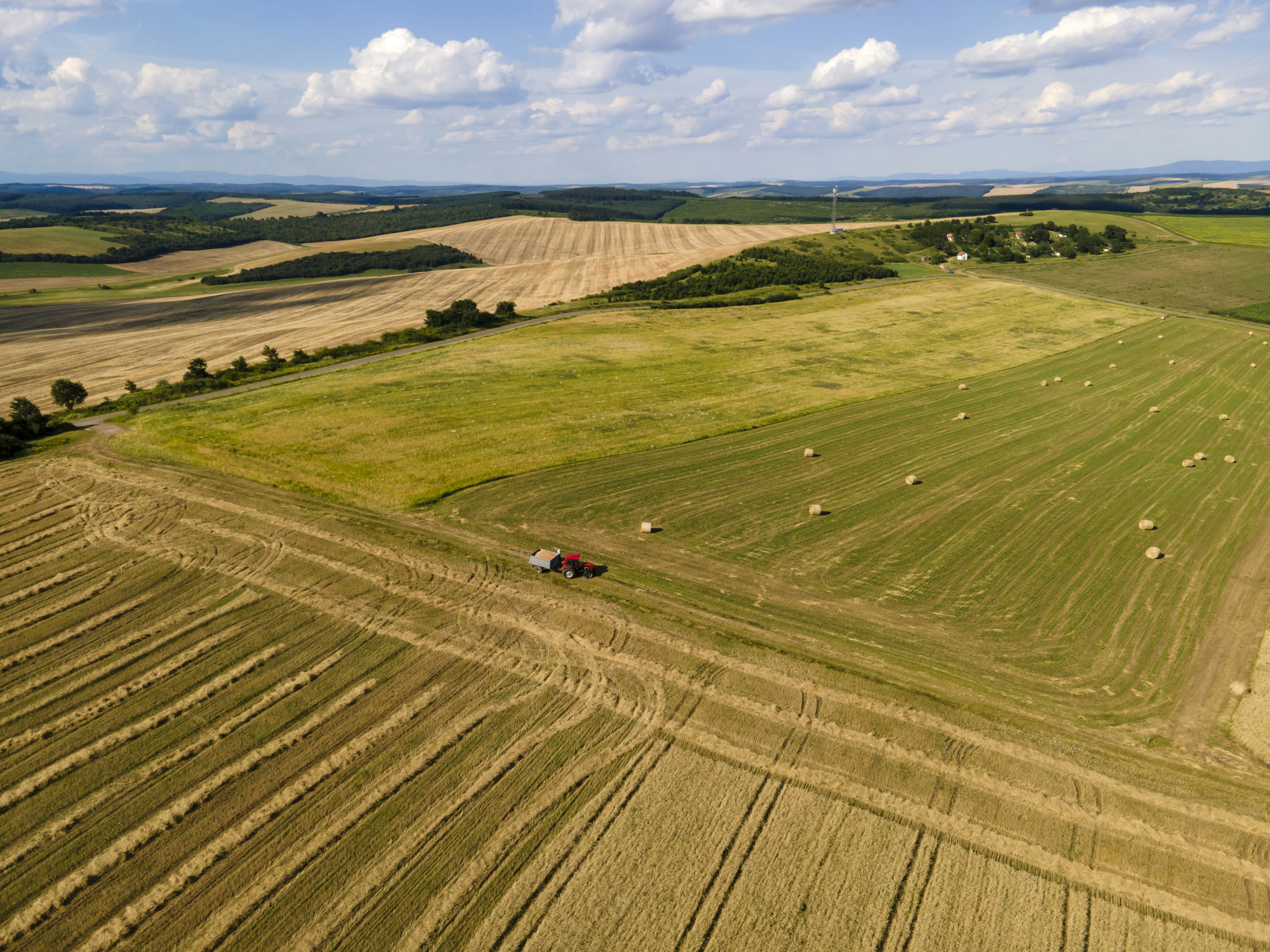 green grass field under blue sky during daytime