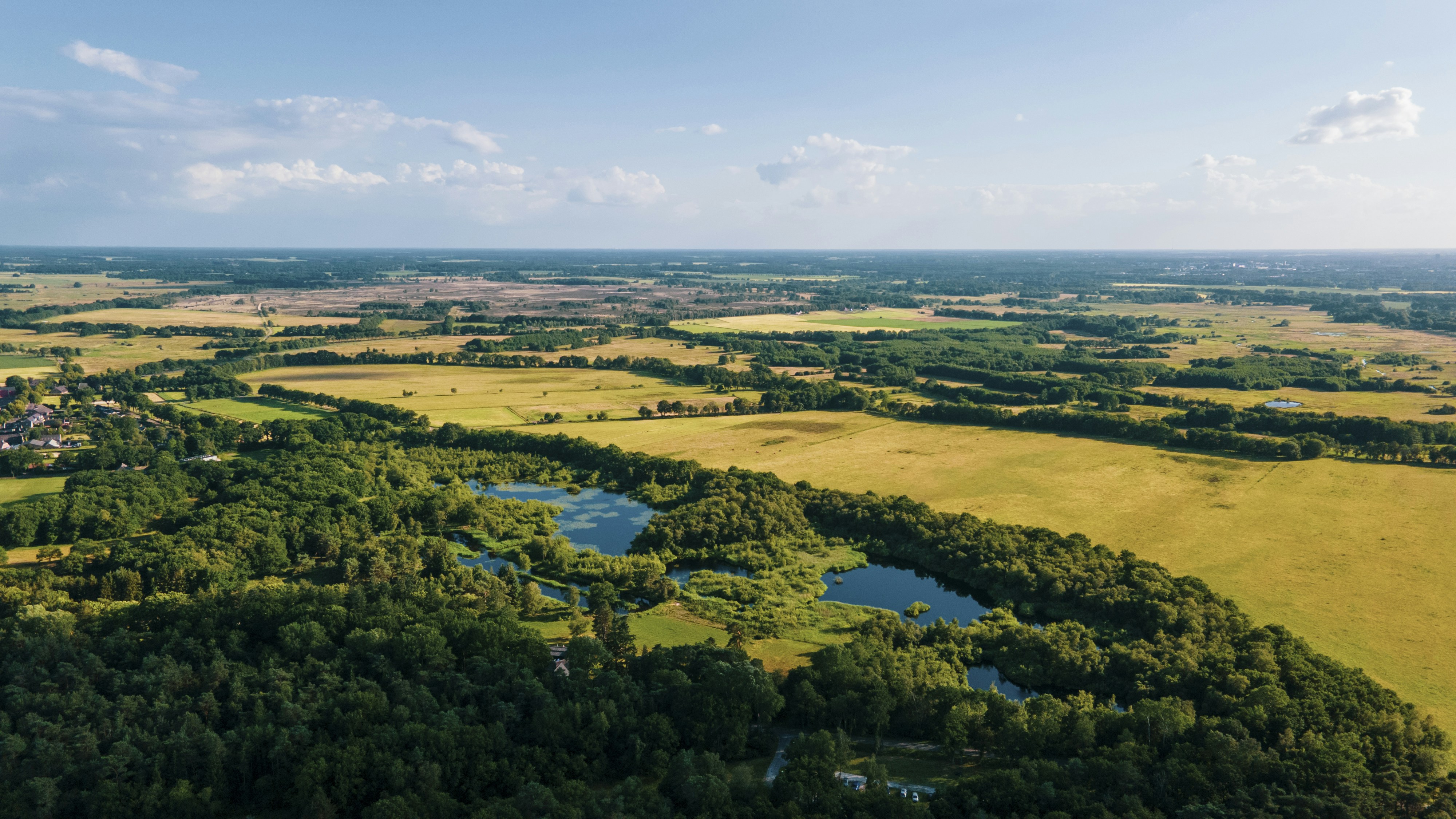 green trees and green grass field under blue sky during daytime