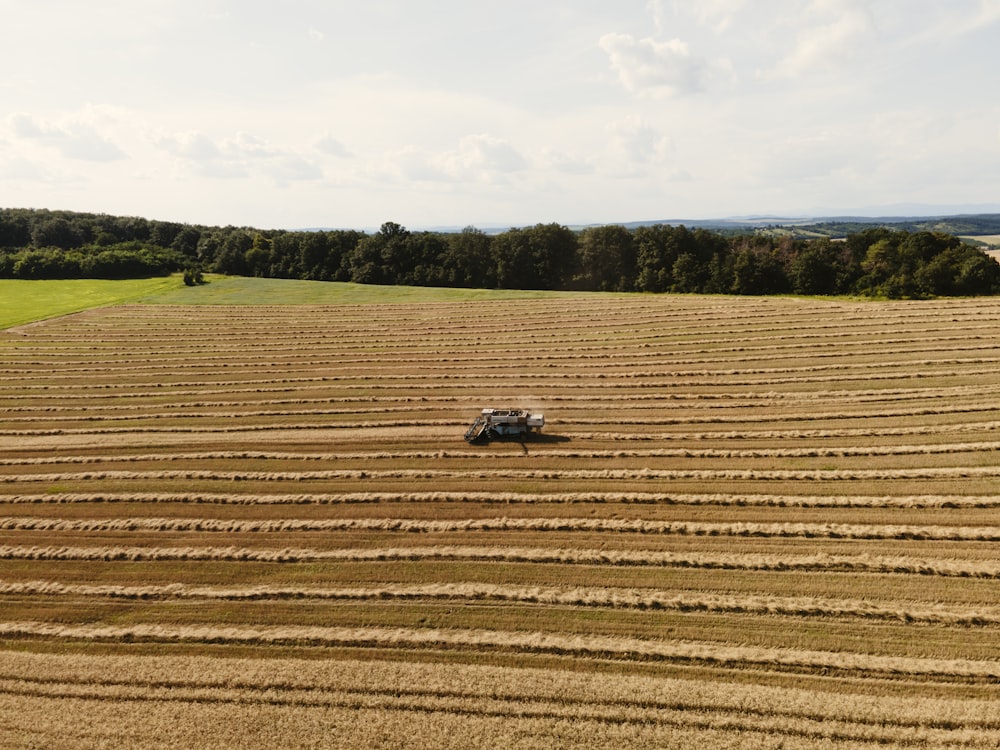 white car on brown field during daytime