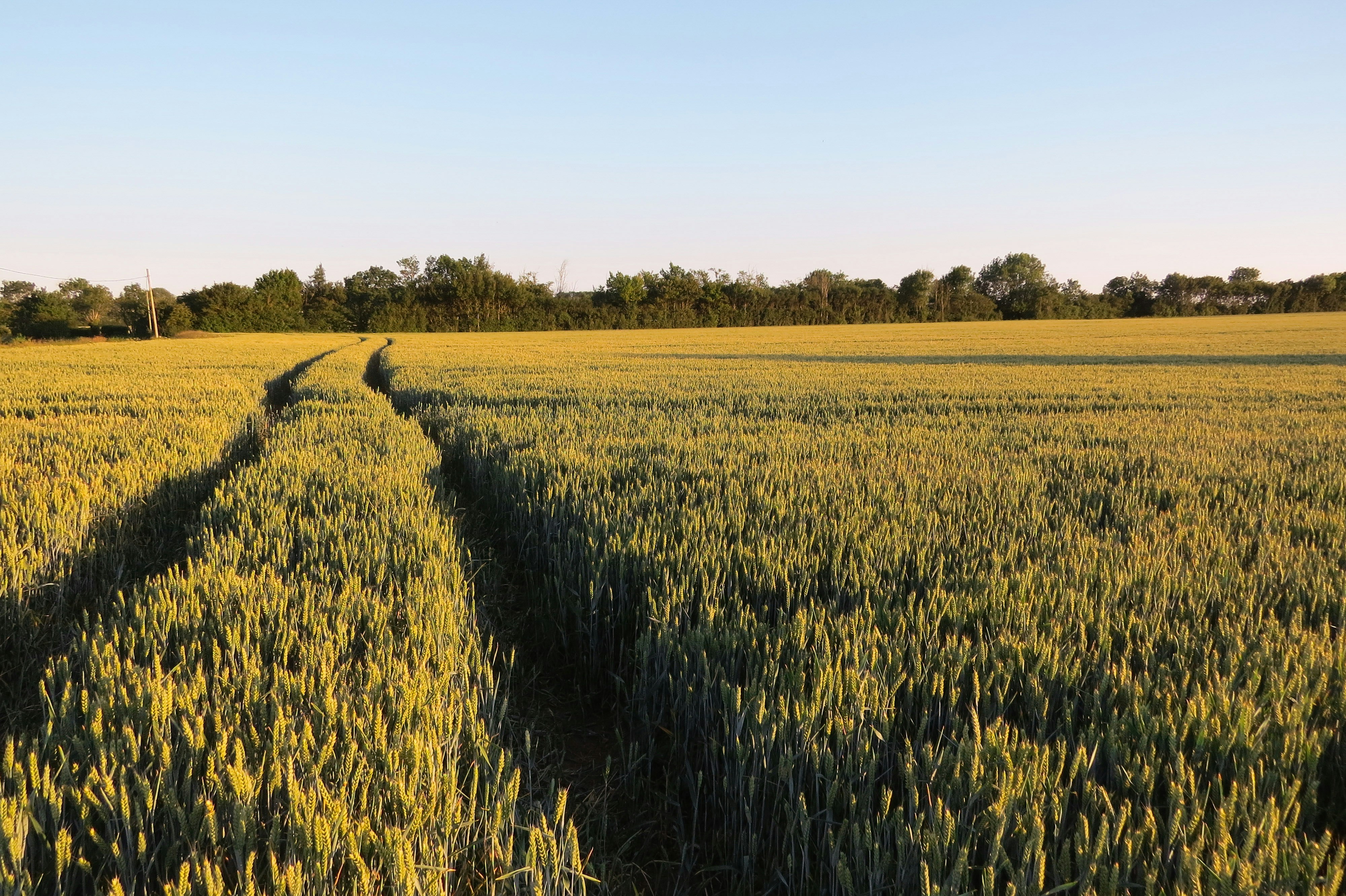 Photo by meganreandrews