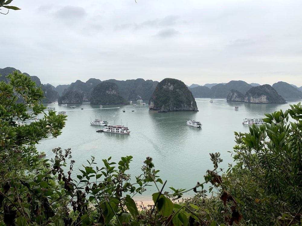 white boat on body of water during daytime