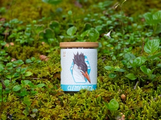 Wild Forest honey jar nestled among pine needles and forest leaves, capturing the essence of untouched wilderness.