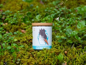 Wild Forest honey jar nestled among pine needles and forest leaves, capturing the essence of untouched wilderness.