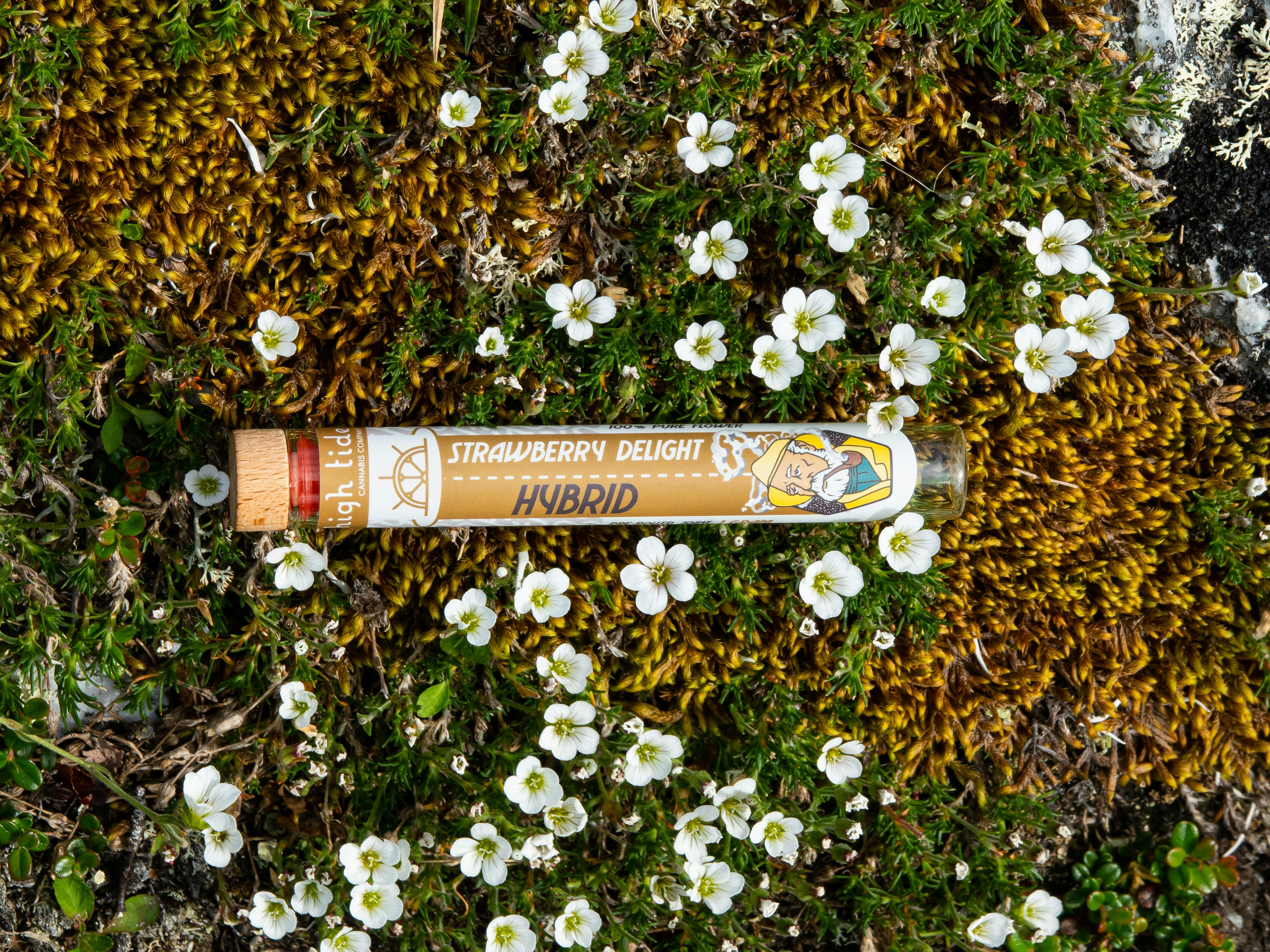 Joints on the tundra with flowers