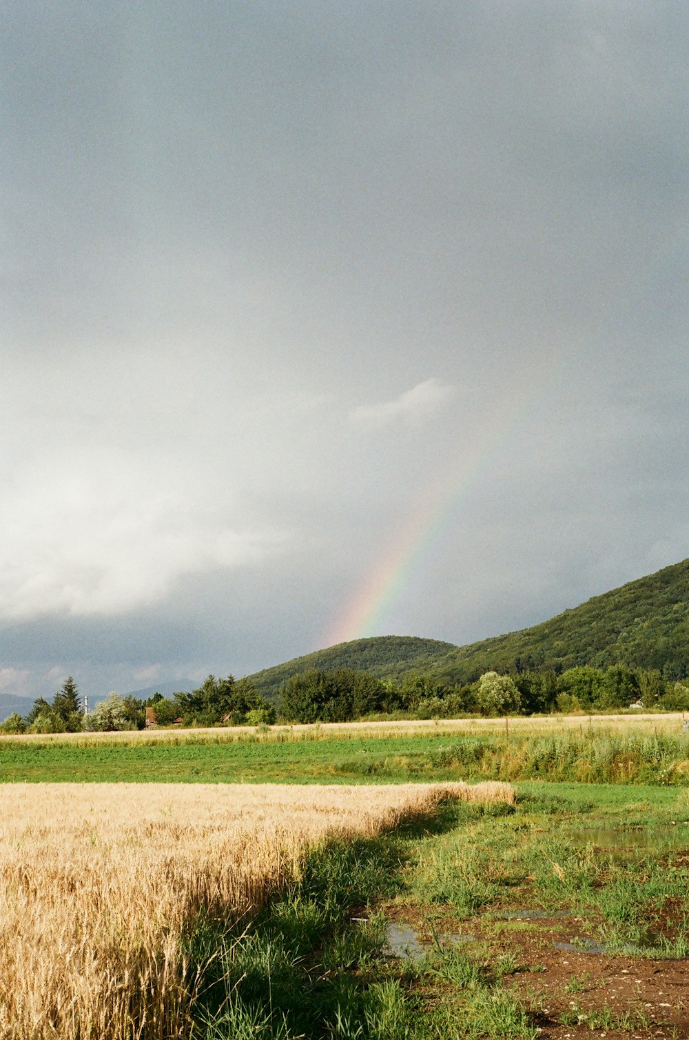 green grass field near green mountain under white clouds during daytime