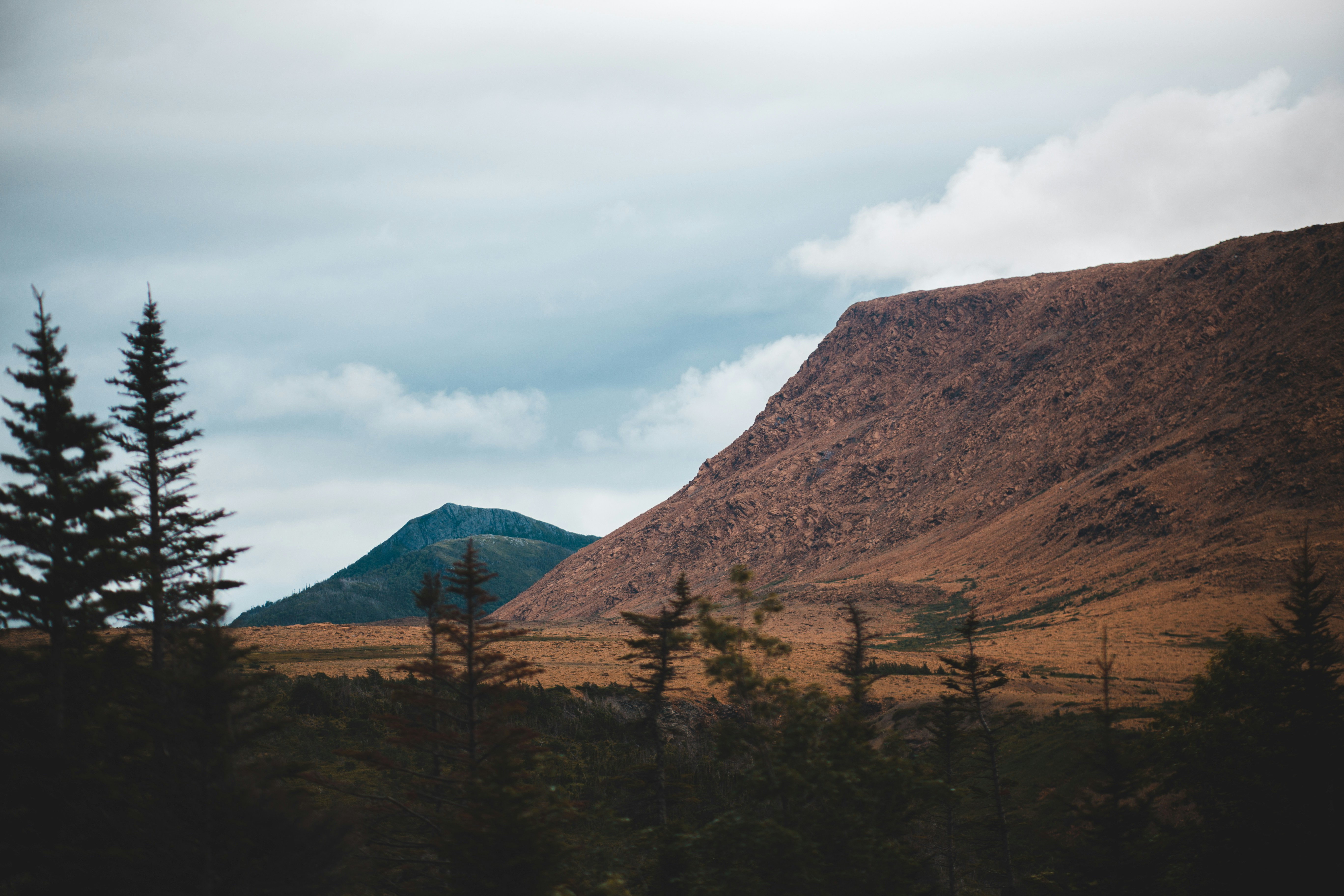 Photo by introspectivedsgn