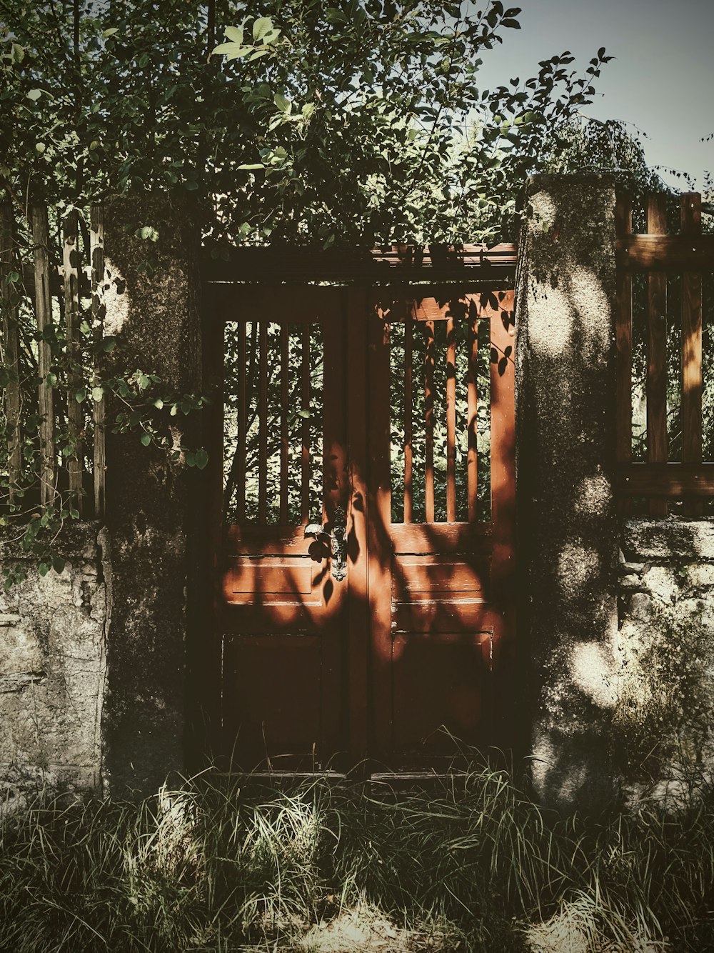 brown wooden gate with vines