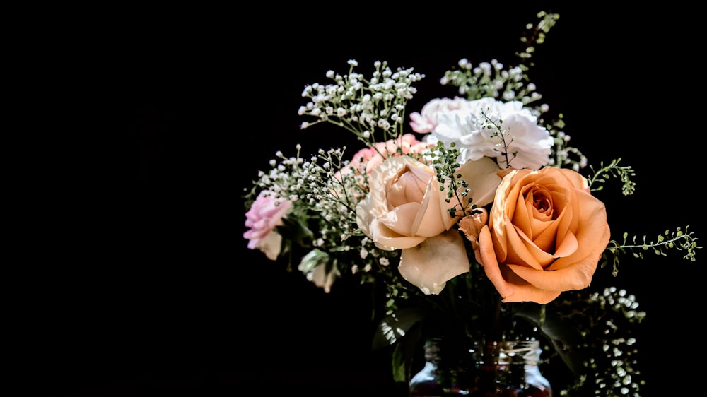 white and pink roses in bloom