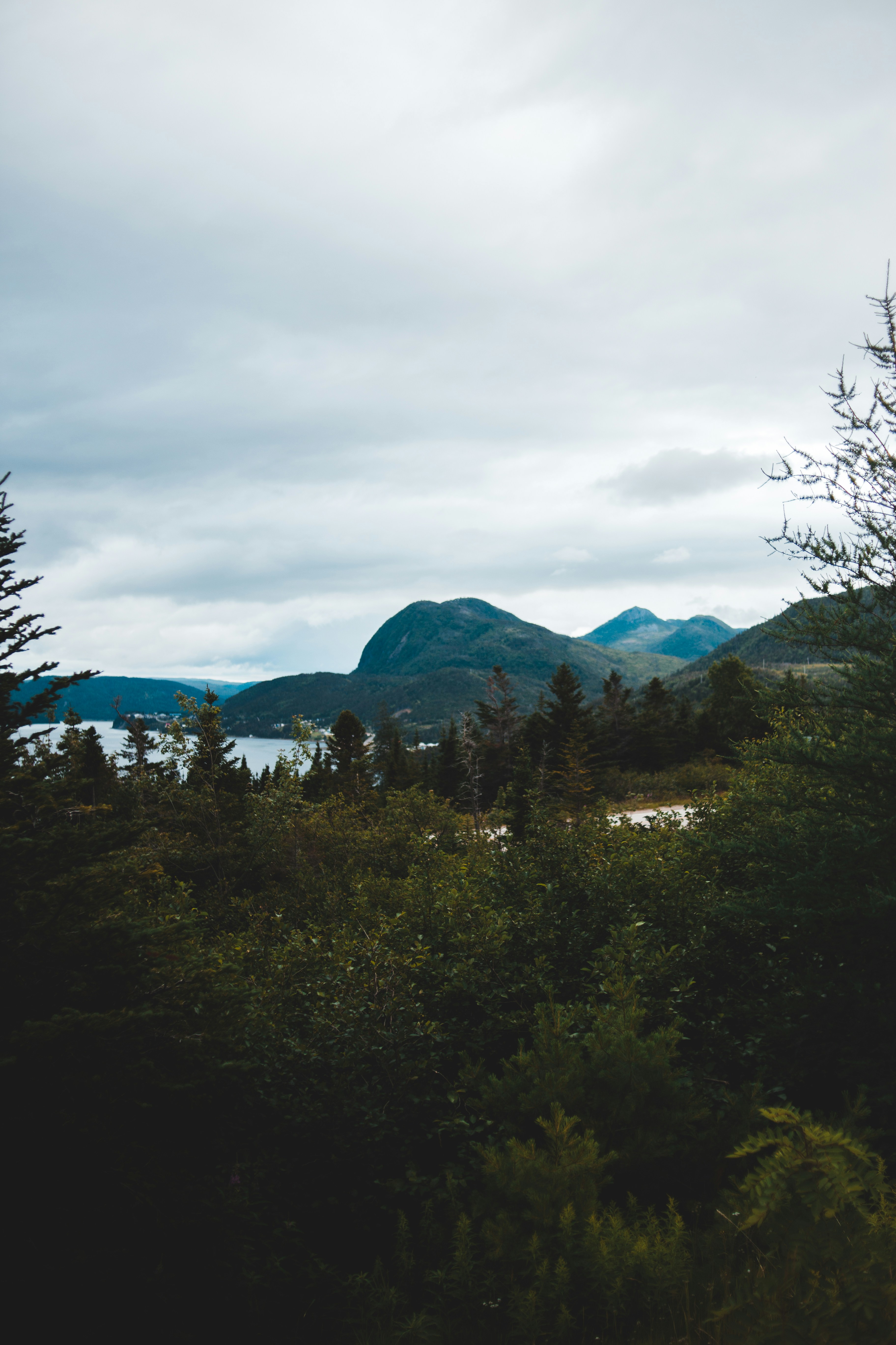 Photo by introspectivedsgn