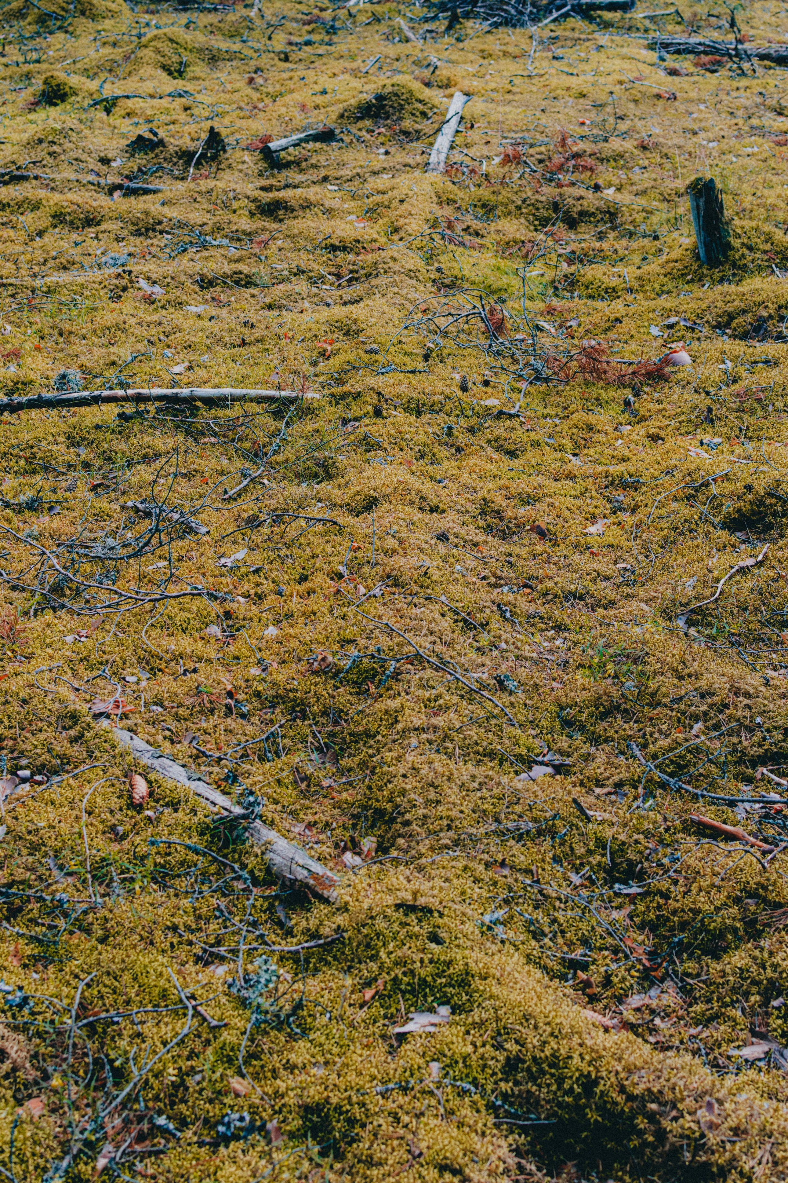 Photo by siimlukka