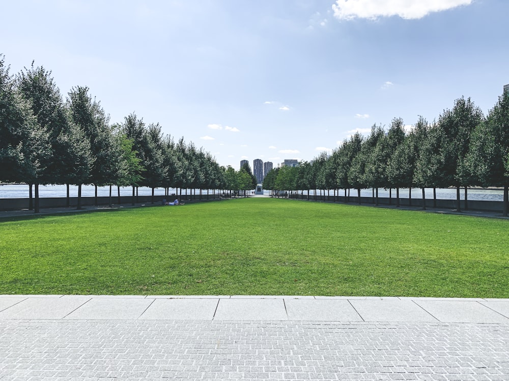 green grass field under white sky during daytime