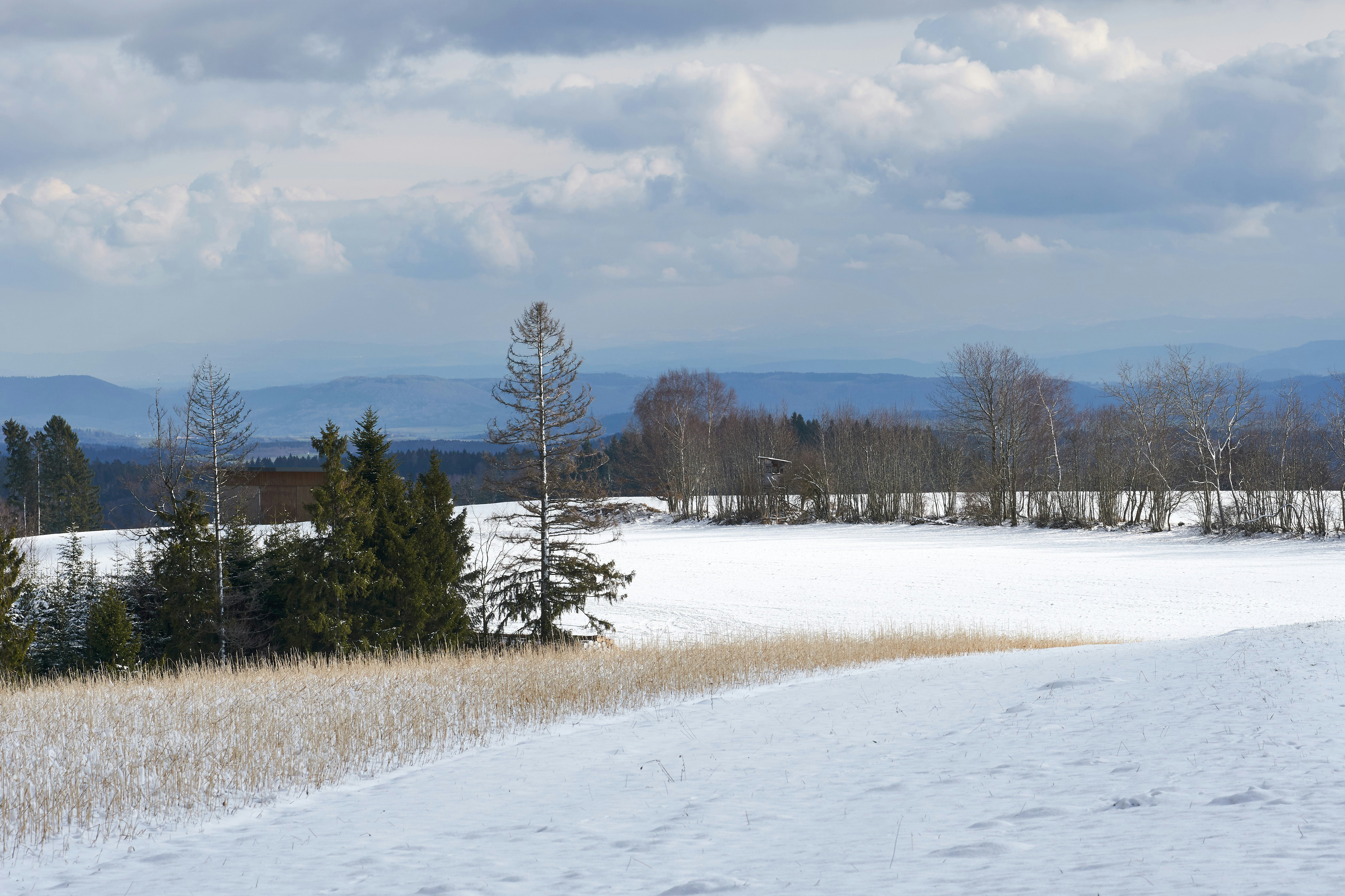 Photo by wolfgang_hasselmann