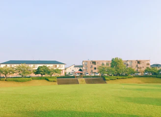 A serene residential plot with clear boundaries and lush greenery under a bright sky.