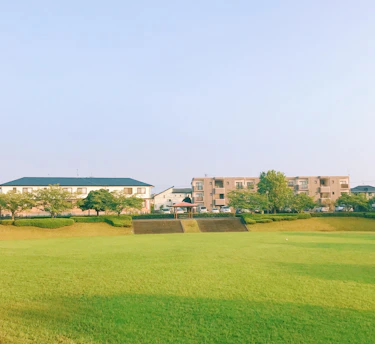 A serene residential plot with clear boundaries and lush greenery under a bright sky.