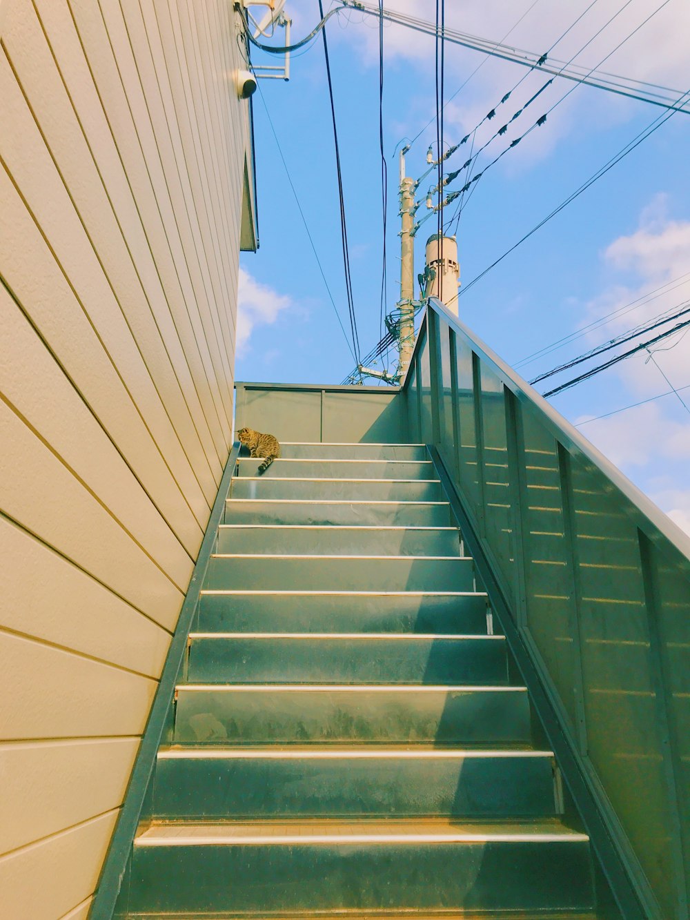 man in black jacket and blue denim jeans walking down the stairs