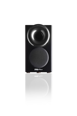 Elegant black speaker with golden accents highlighting its 80 mm driver.