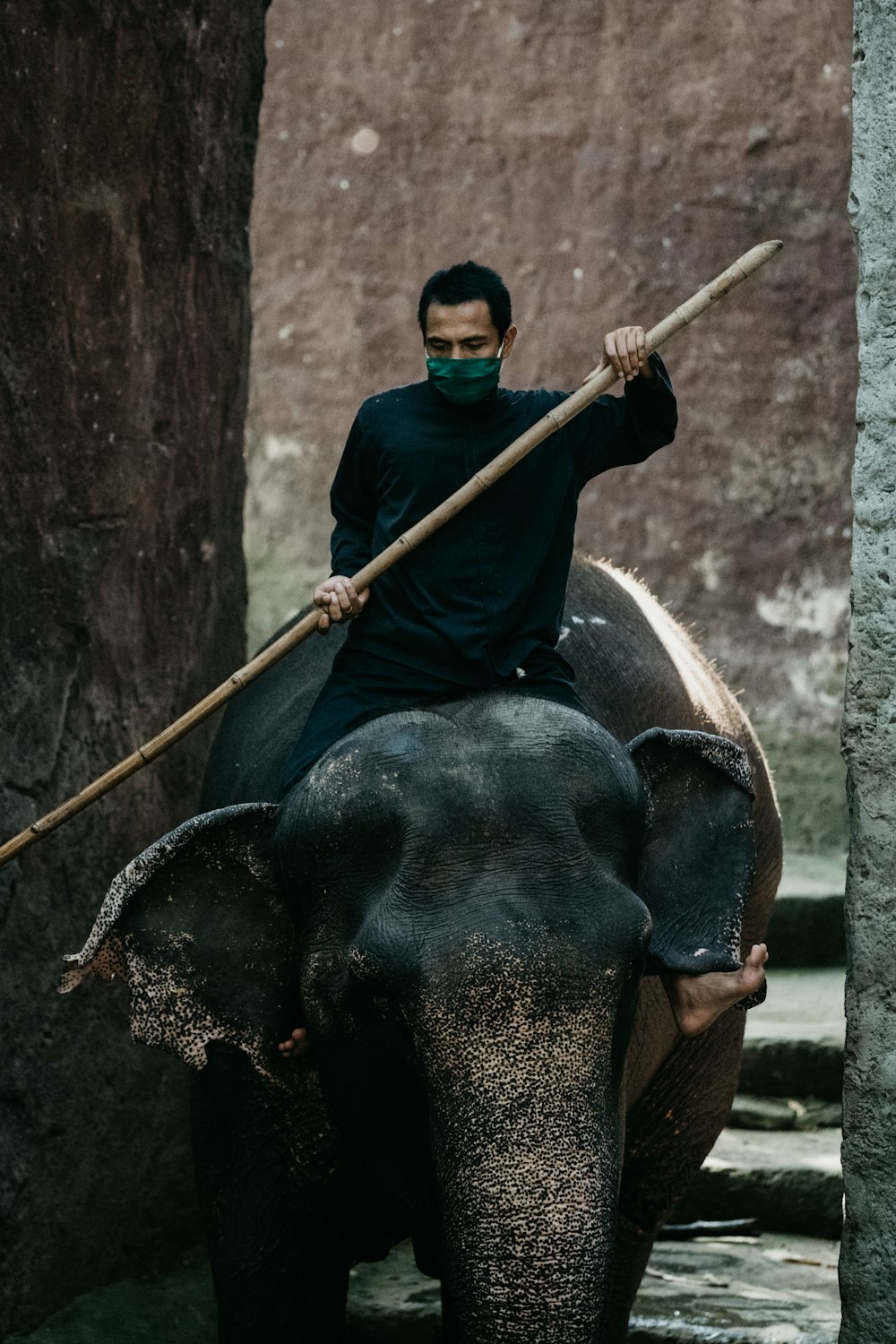 Hombre con camisa negra montando en elefante negro durante el día