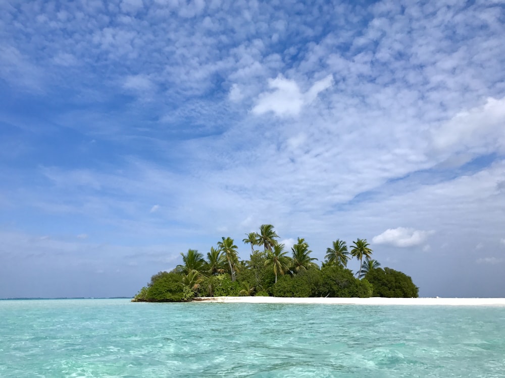 green palm trees on white sand beach under blue sky during daytime