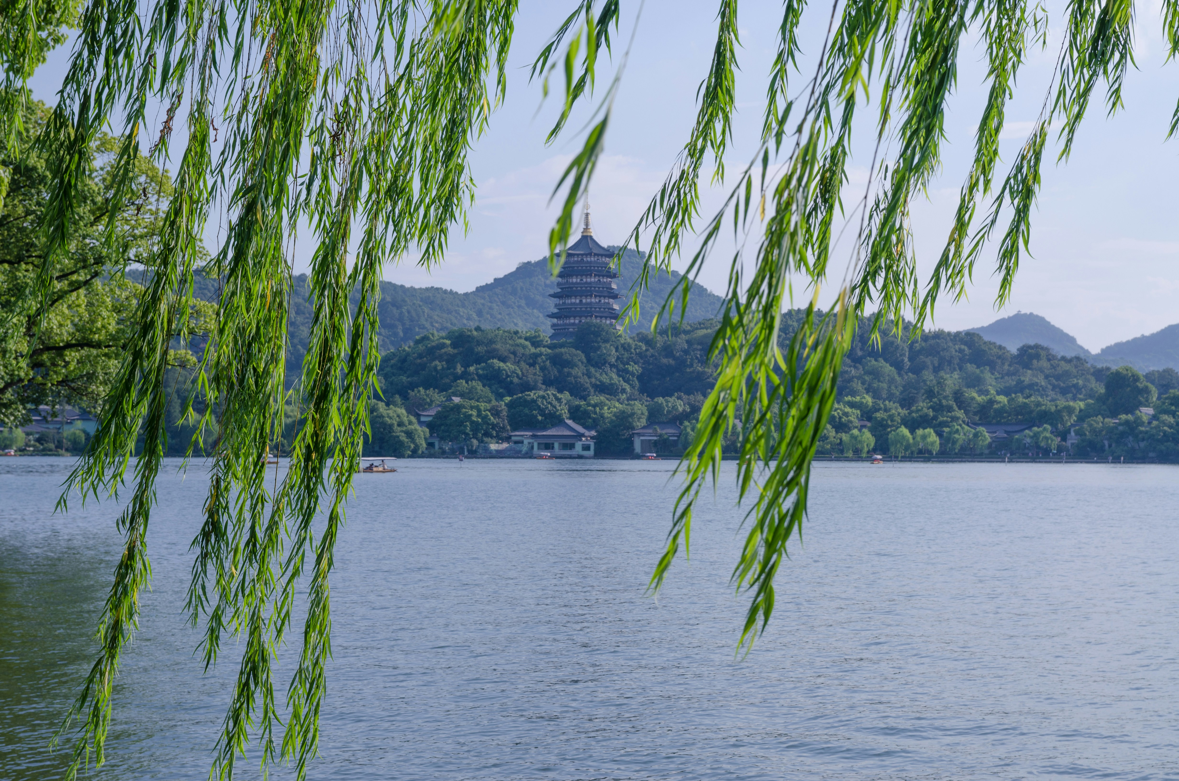 水木清華格（探花格）- 天機太陰同宮寅申位