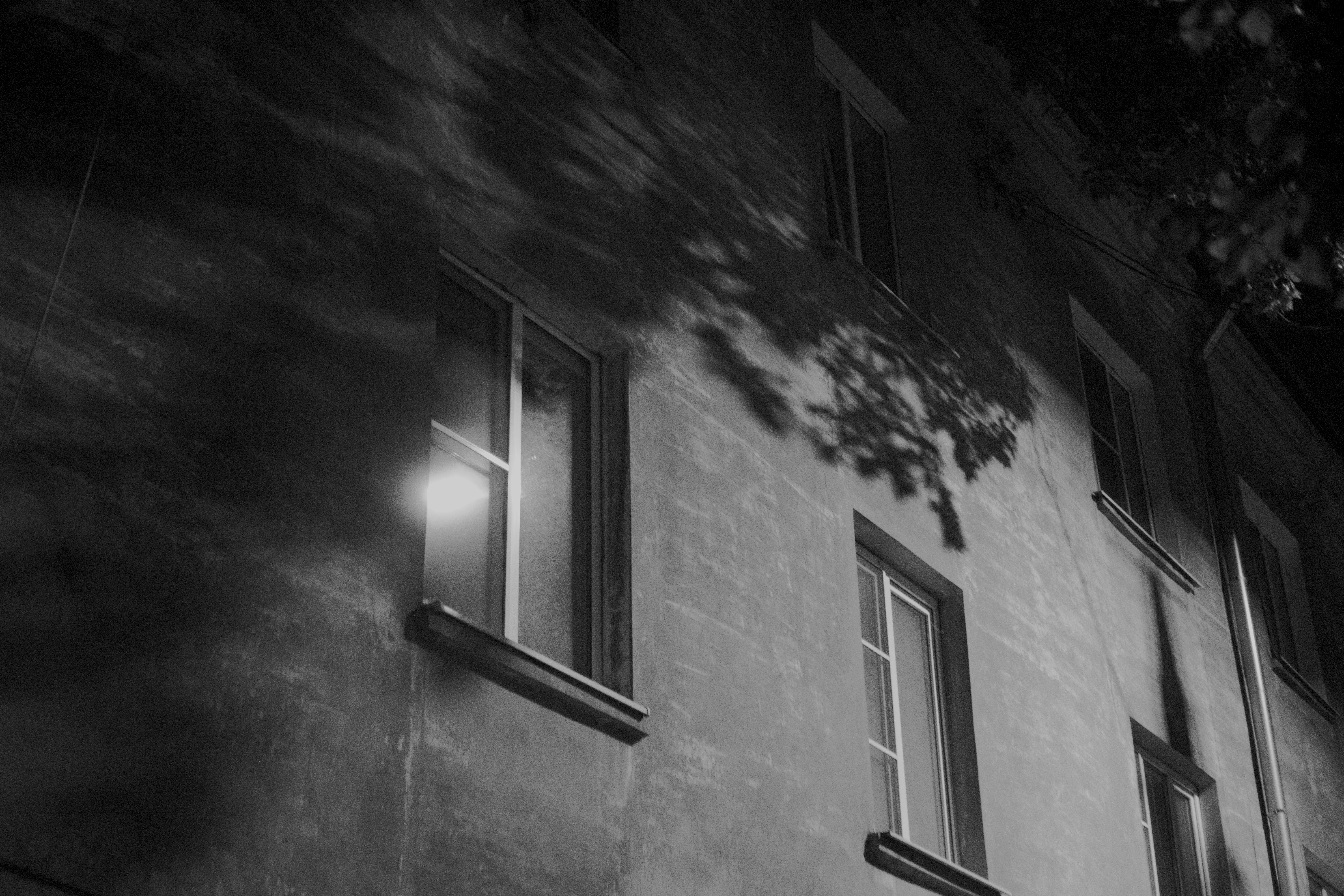 Photo by ivan_bolshakov