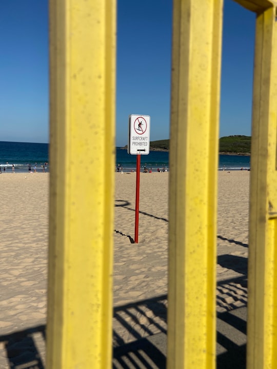 yellow wooden fence on beach during daytime in Maroubra Beach Australia