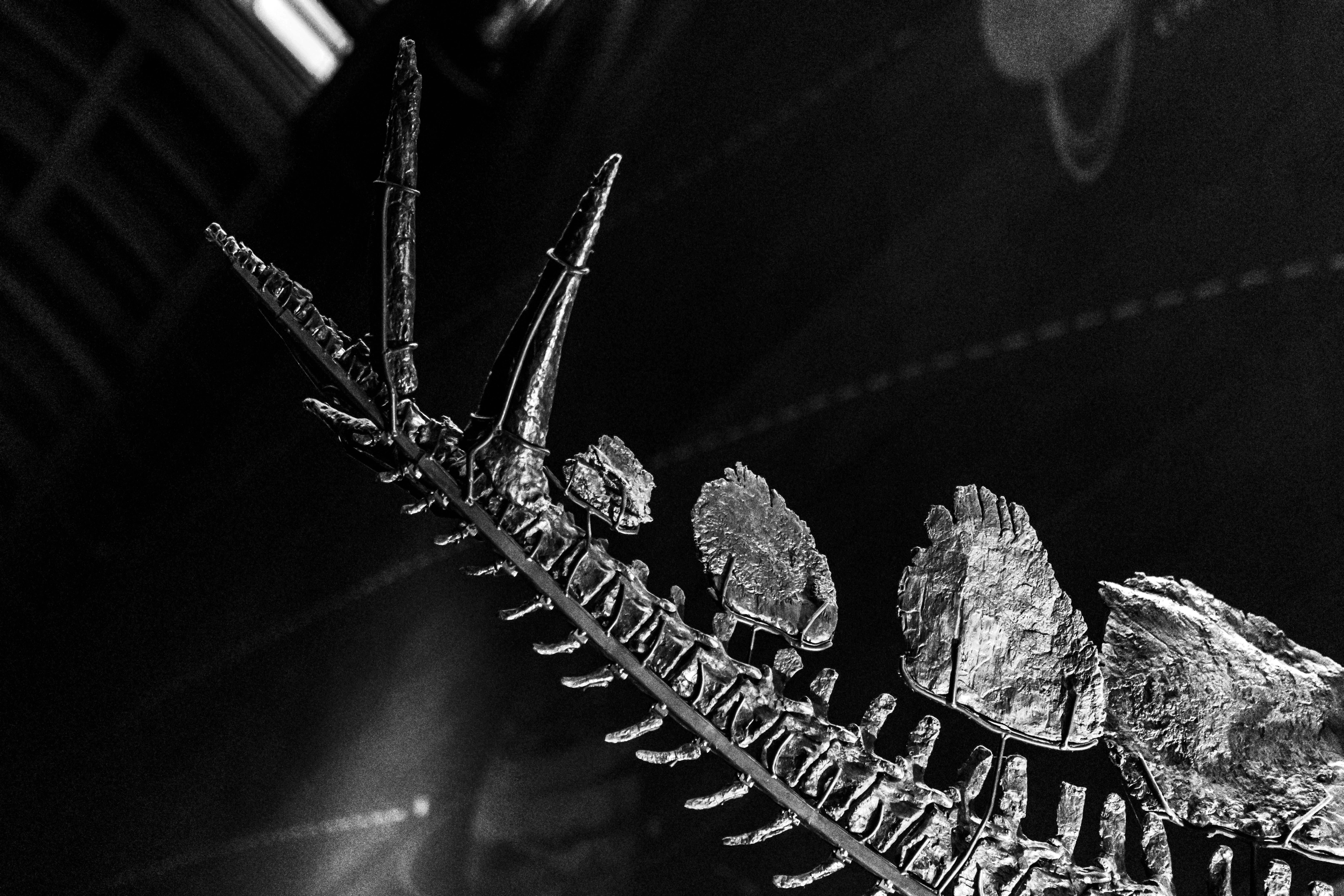 The Effect of Clathrin Protein Addition on Increasing the Number of Electrons in Organic Dye\u002DSensitized Solar Cell (DSSC) Image