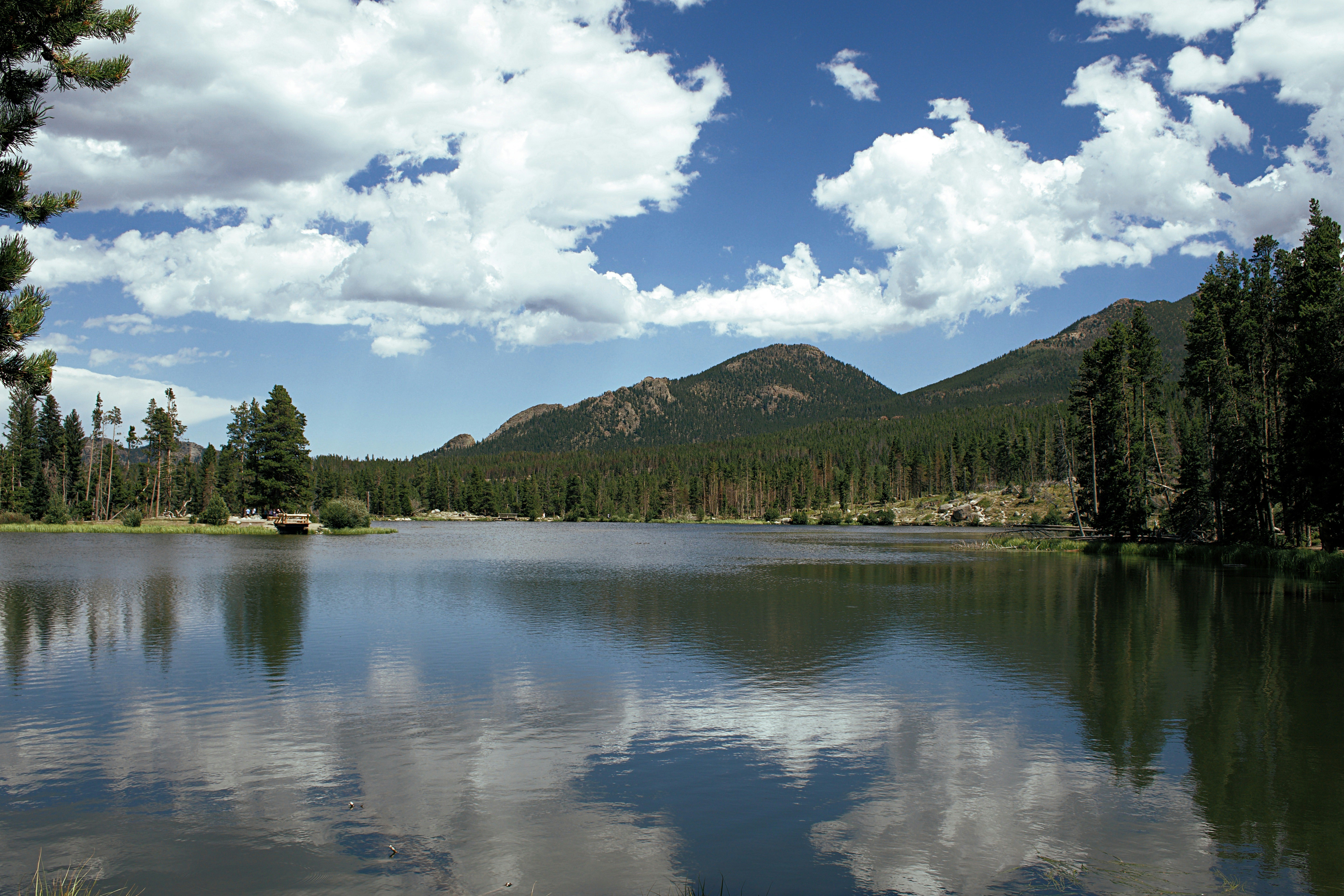 green trees near lake under blue sky and white clouds during daytime, 