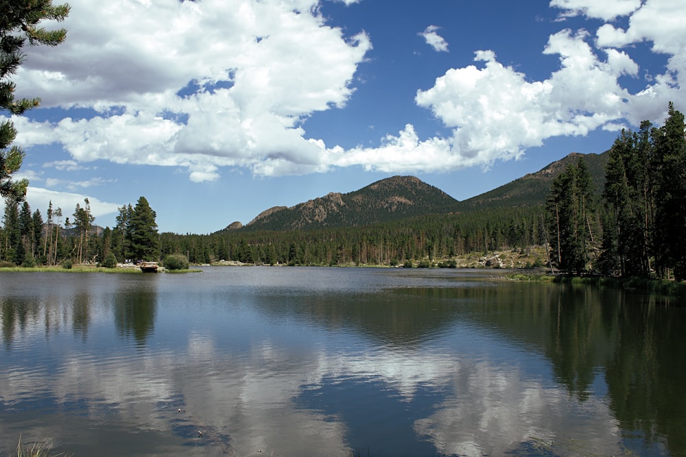 green trees near lake under blue sky and white clouds during daytime