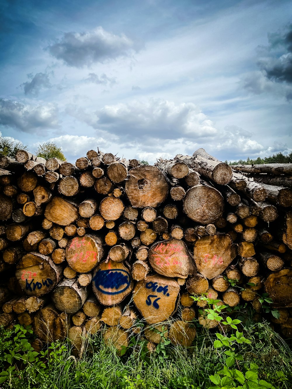 brown and gray wood logs