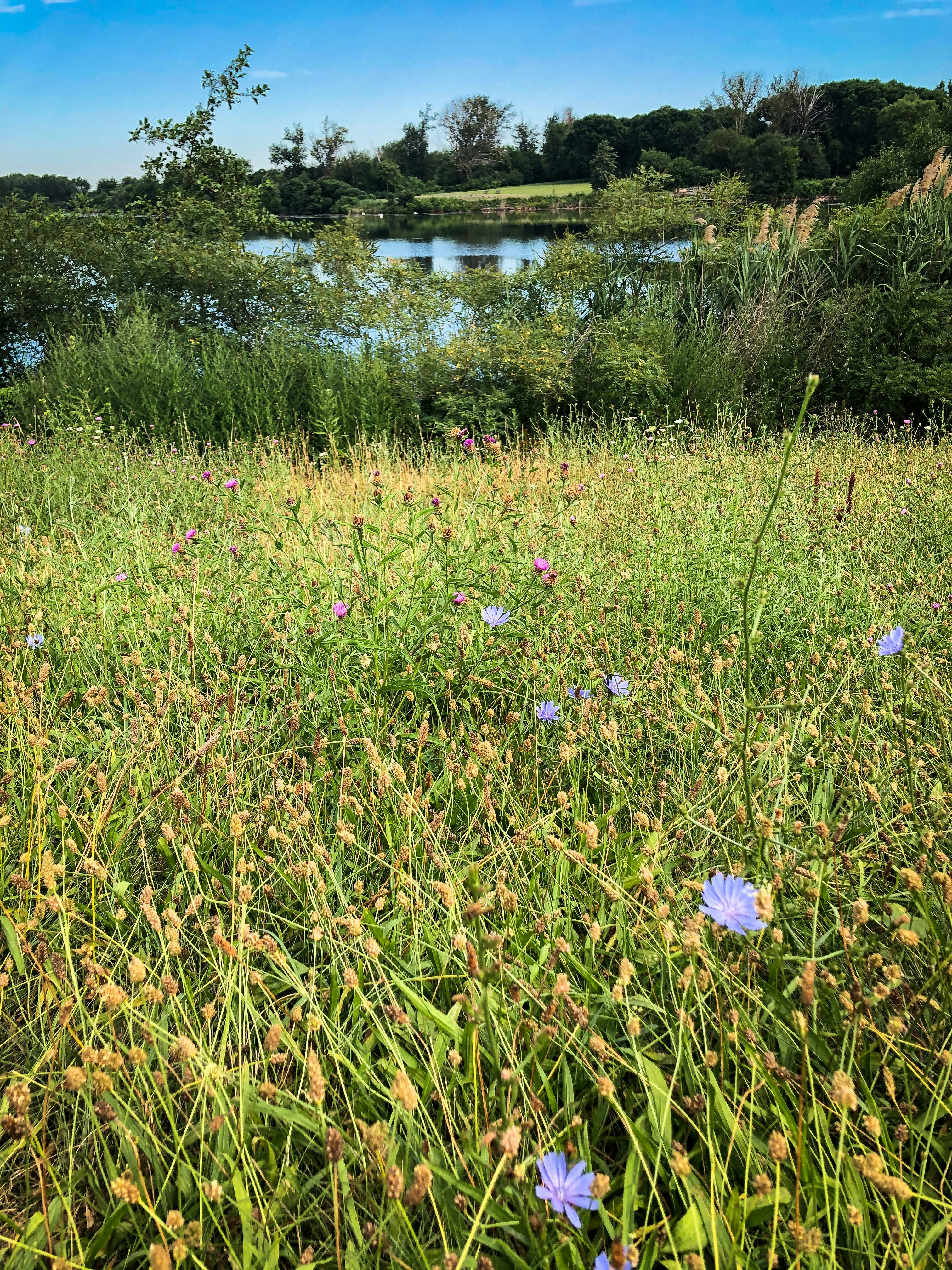 Photo by bonniekdesign