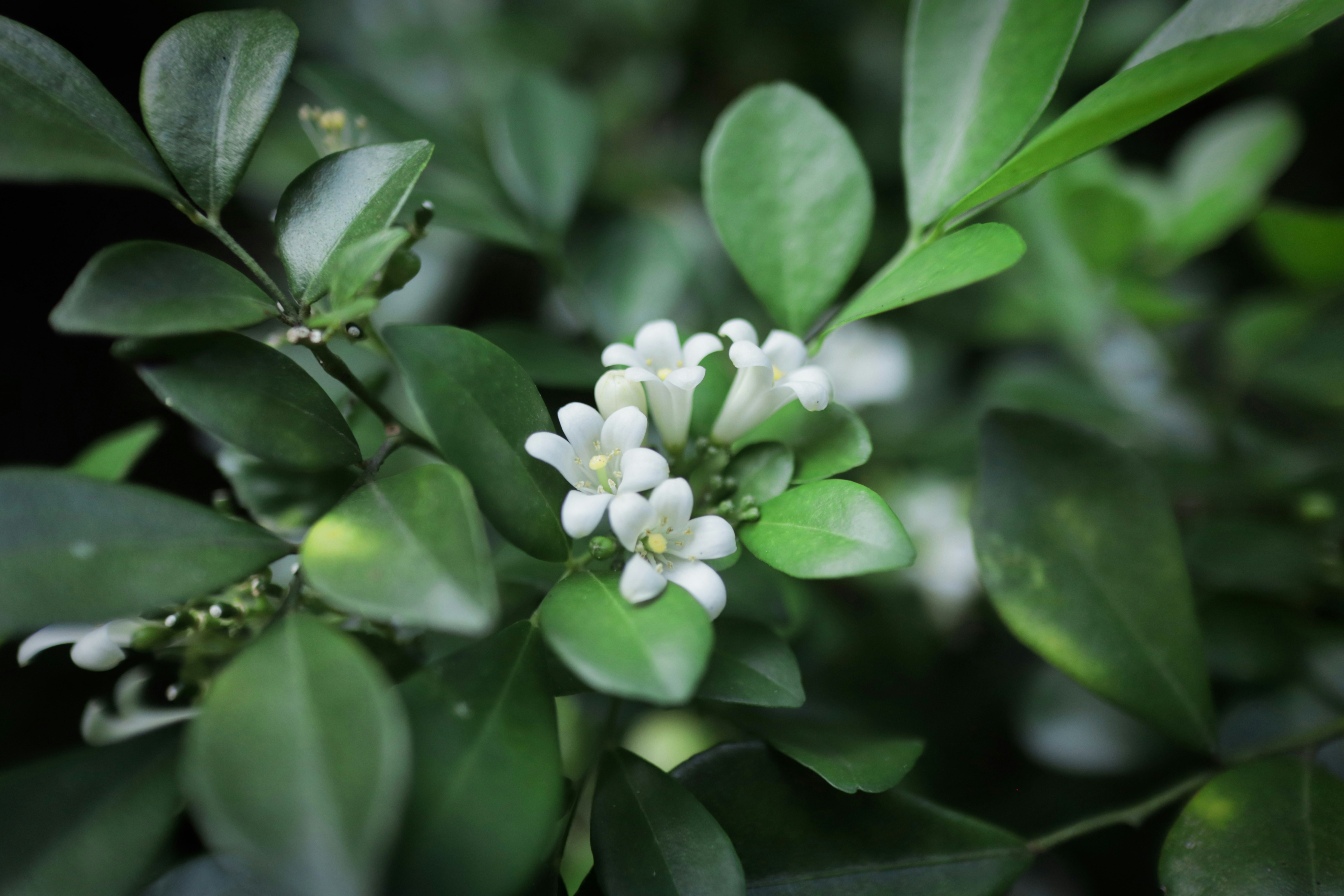 Photo by benjamin_1017