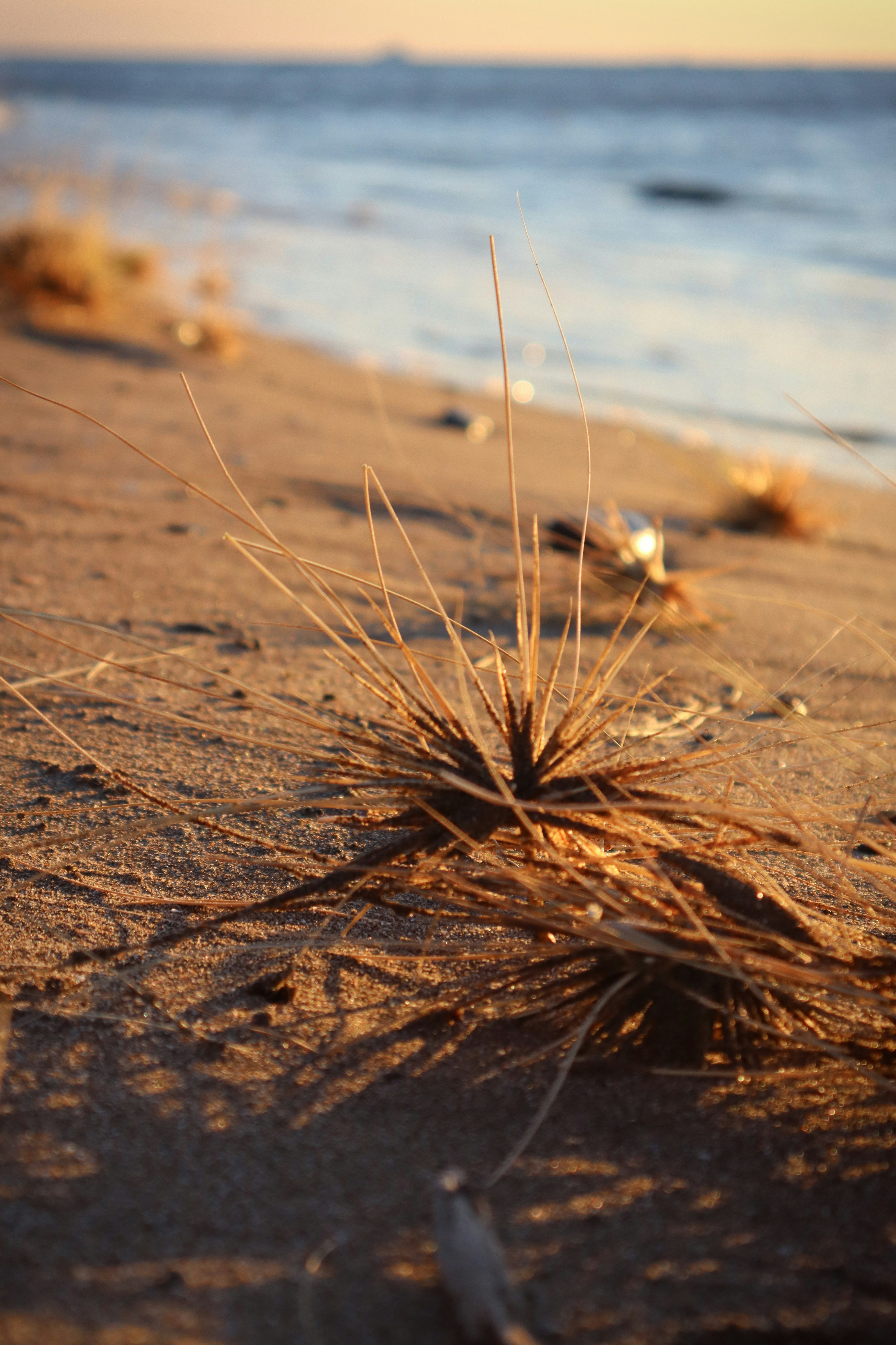 Photo by benjamin_1017