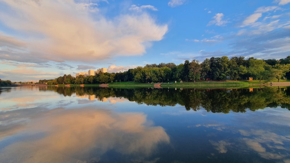 green trees beside lake under blue sky during daytime