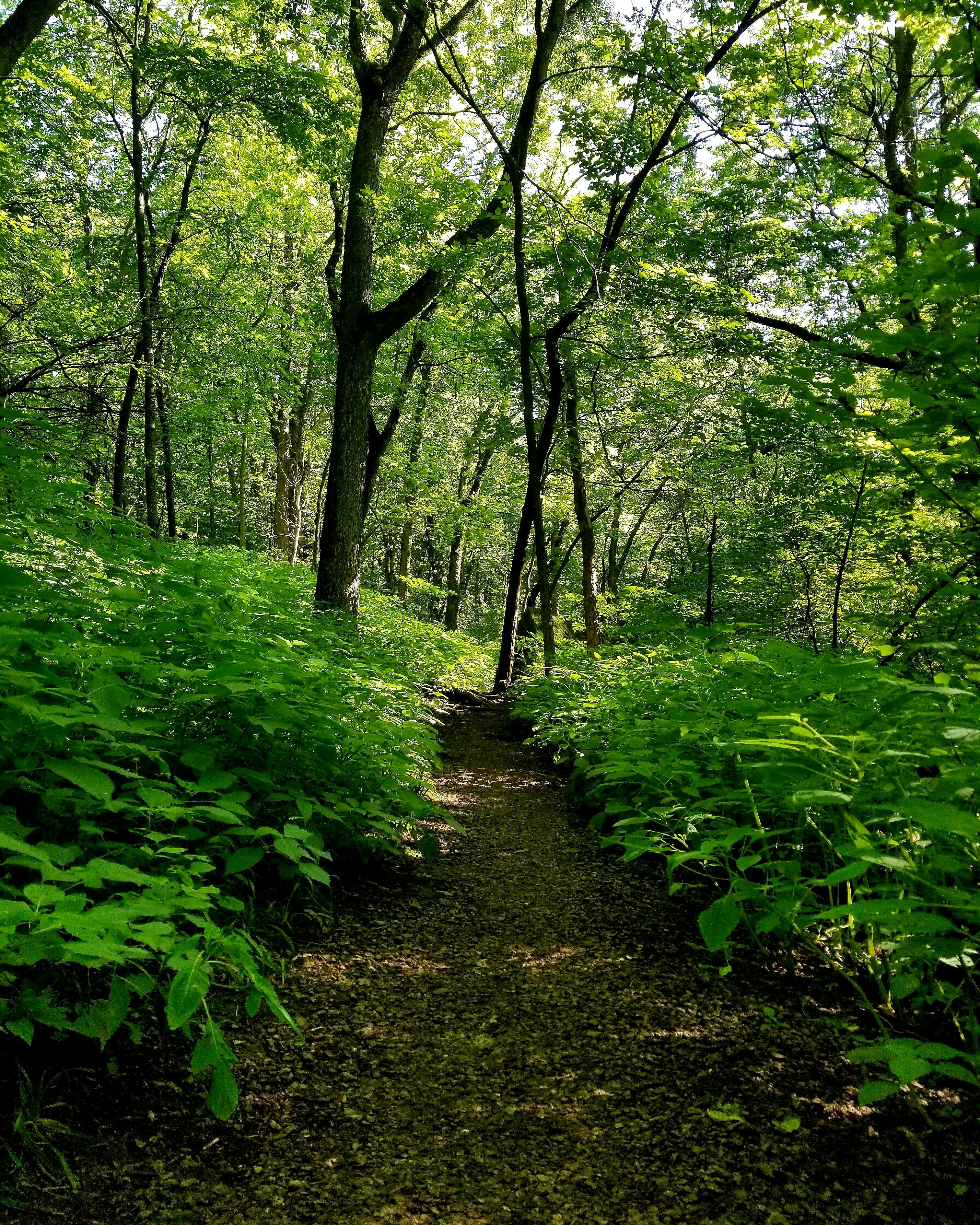 Photo by kimberlyeschenbauchphotography