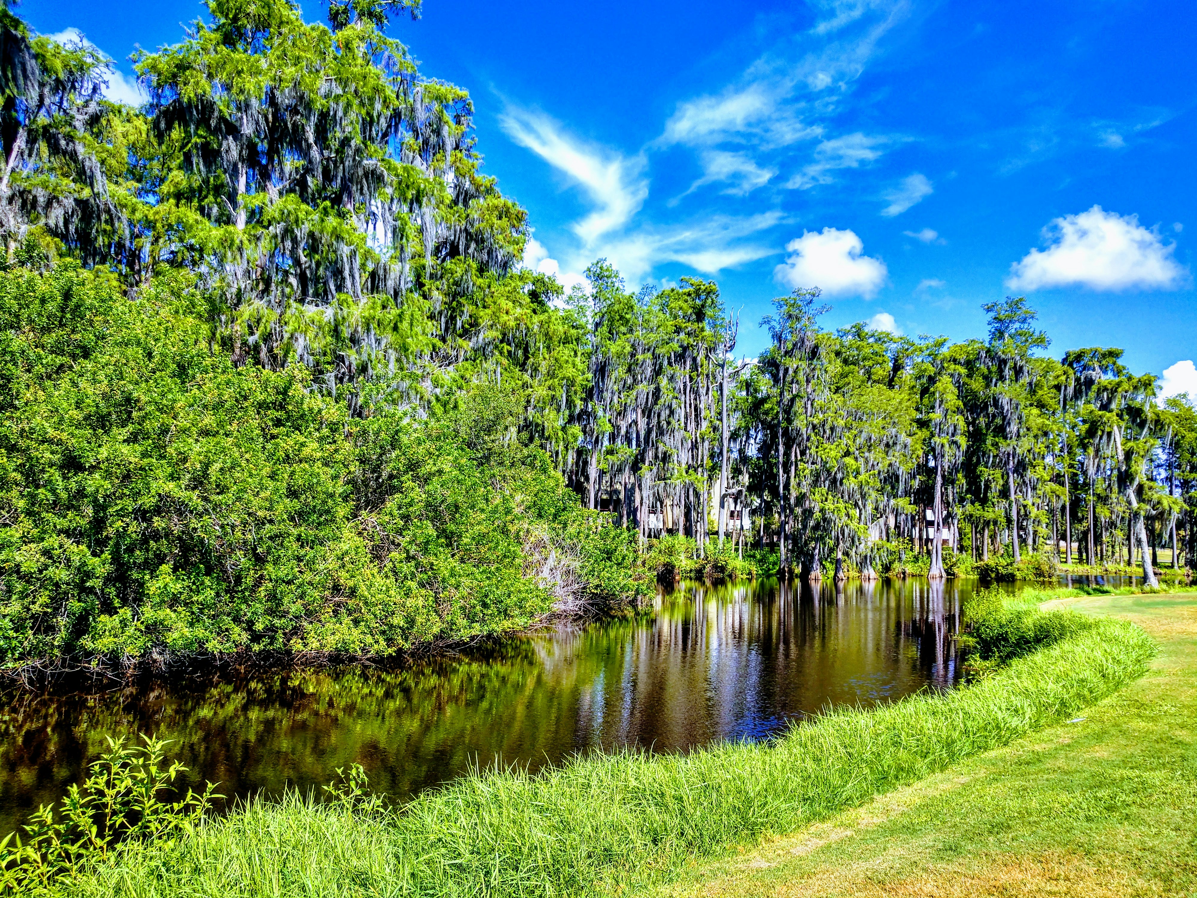 Photo by solitsocial