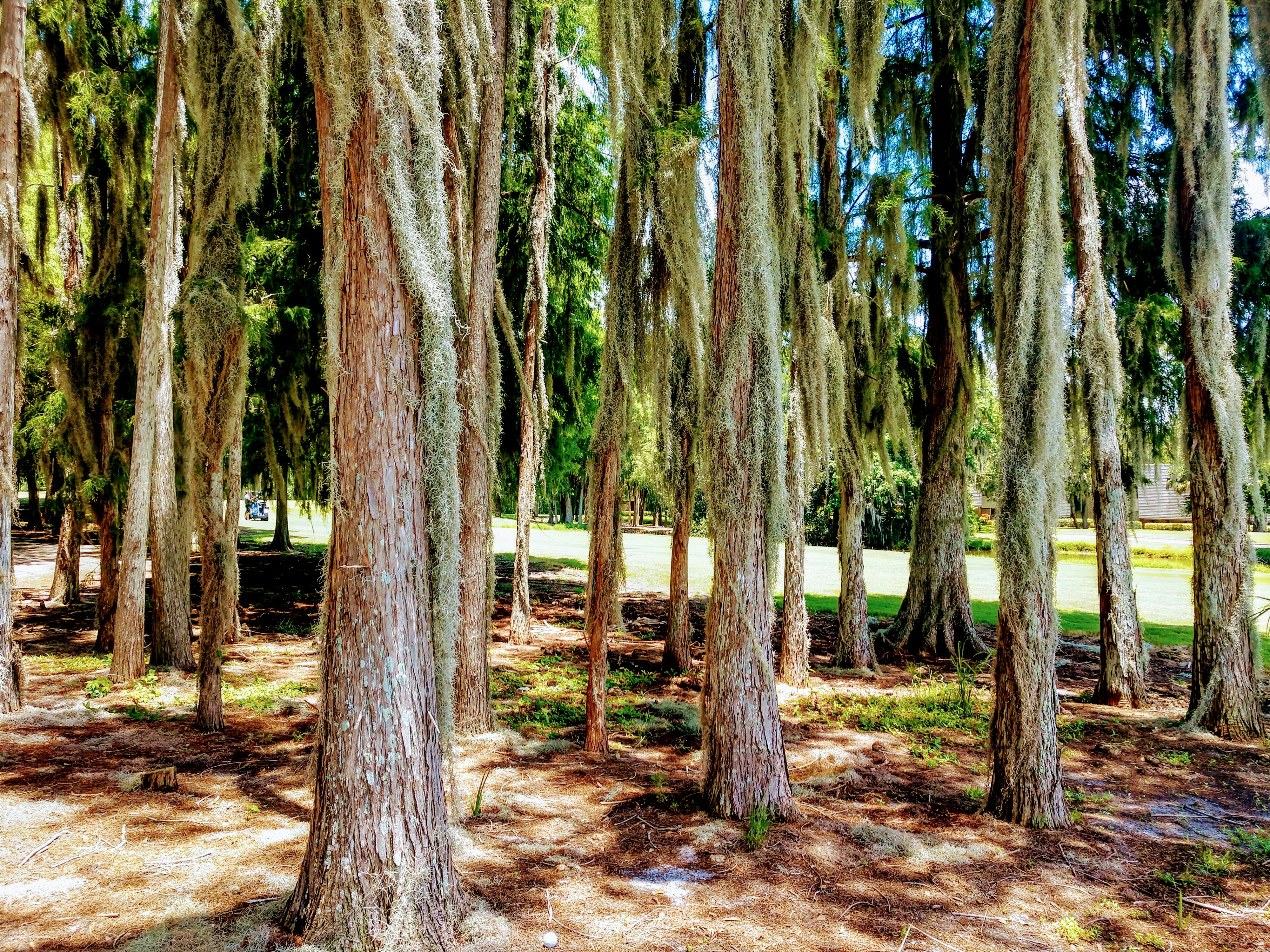 Tampa Outdoor Adventures for Kids