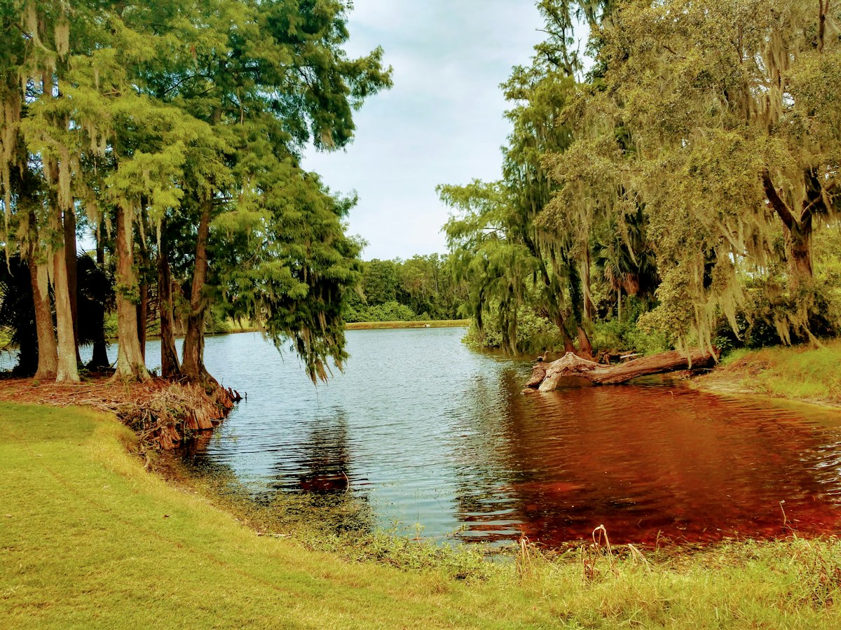Zephyrhills generator services