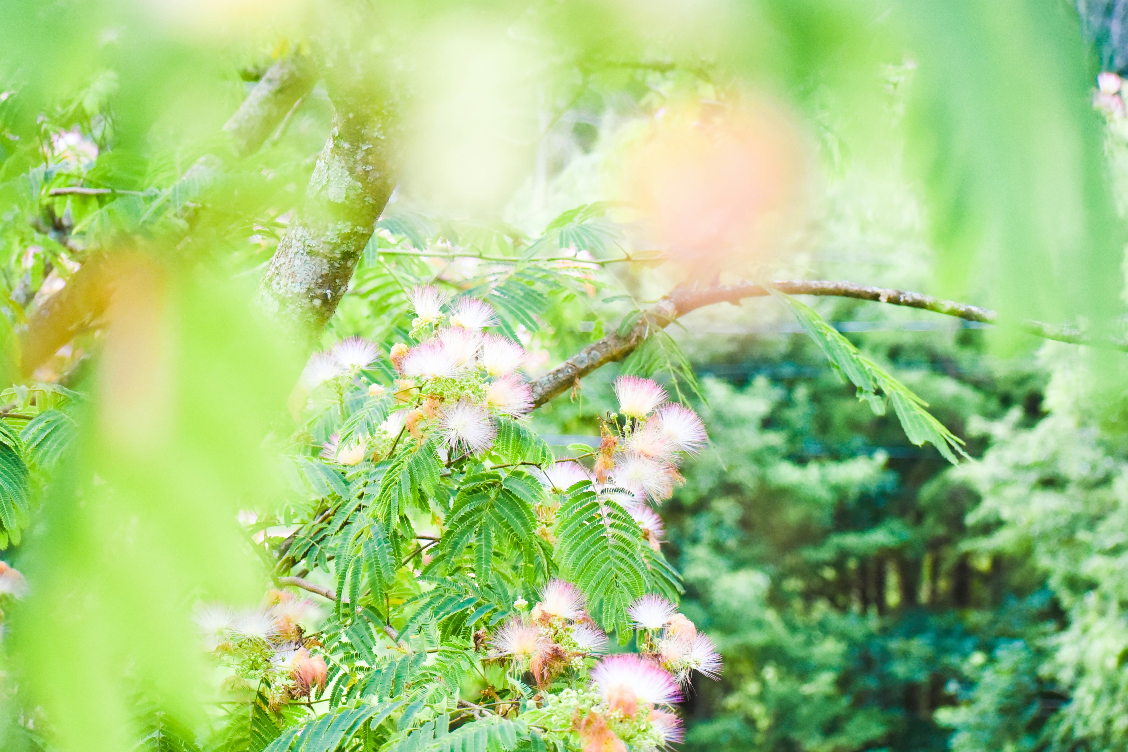 Photo by berenicedesigns