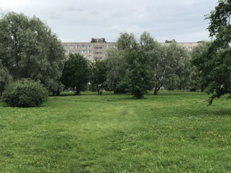 Photo of a green park with residential buildings in the background.