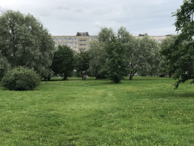 Photo of a green park with residential buildings in the background.