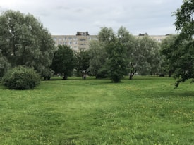 A green park area with scattered trees and grass in the foreground. In the background, there is a tall residential building with multiple windows. The sky appears cloudy, creating a subdued atmosphere.