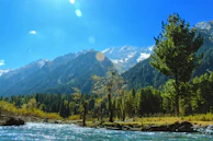 green trees near mountain during daytime