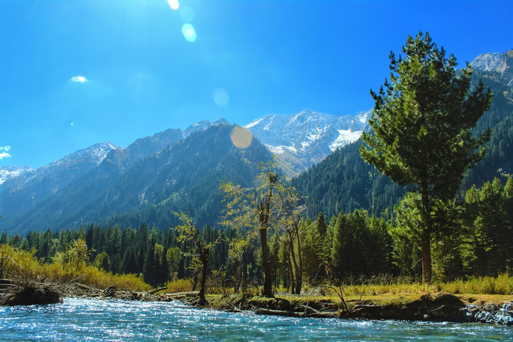 green trees near mountain during daytime