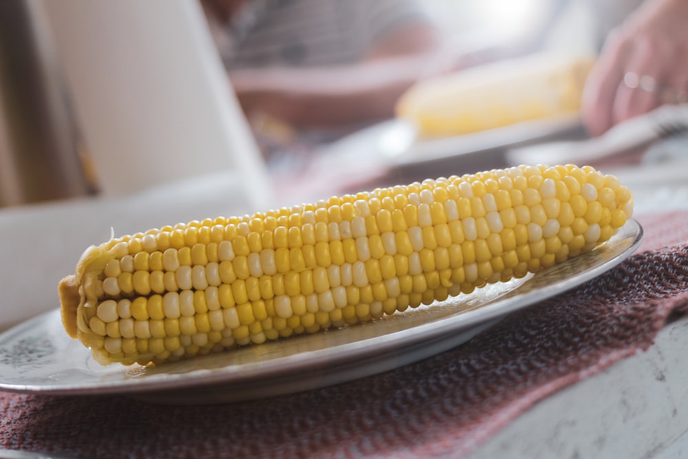 corn on white ceramic plate