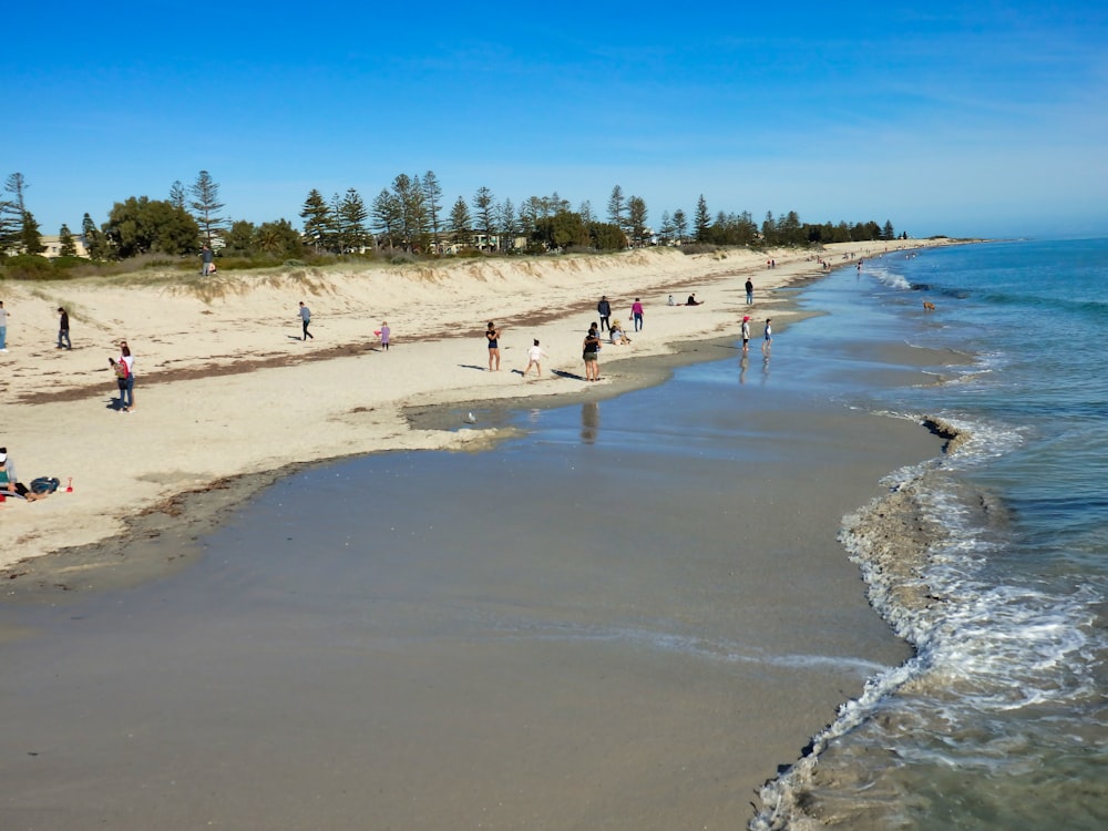 people walking on beach during daytime