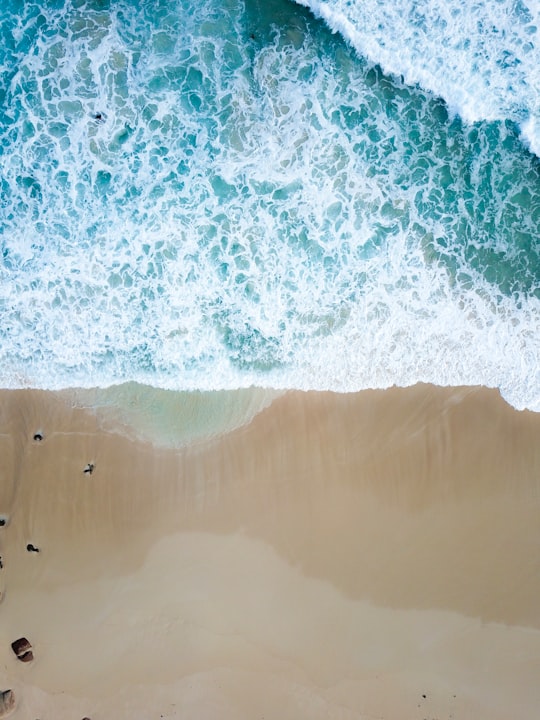 brown and white abstract painting in Western Australia Australia