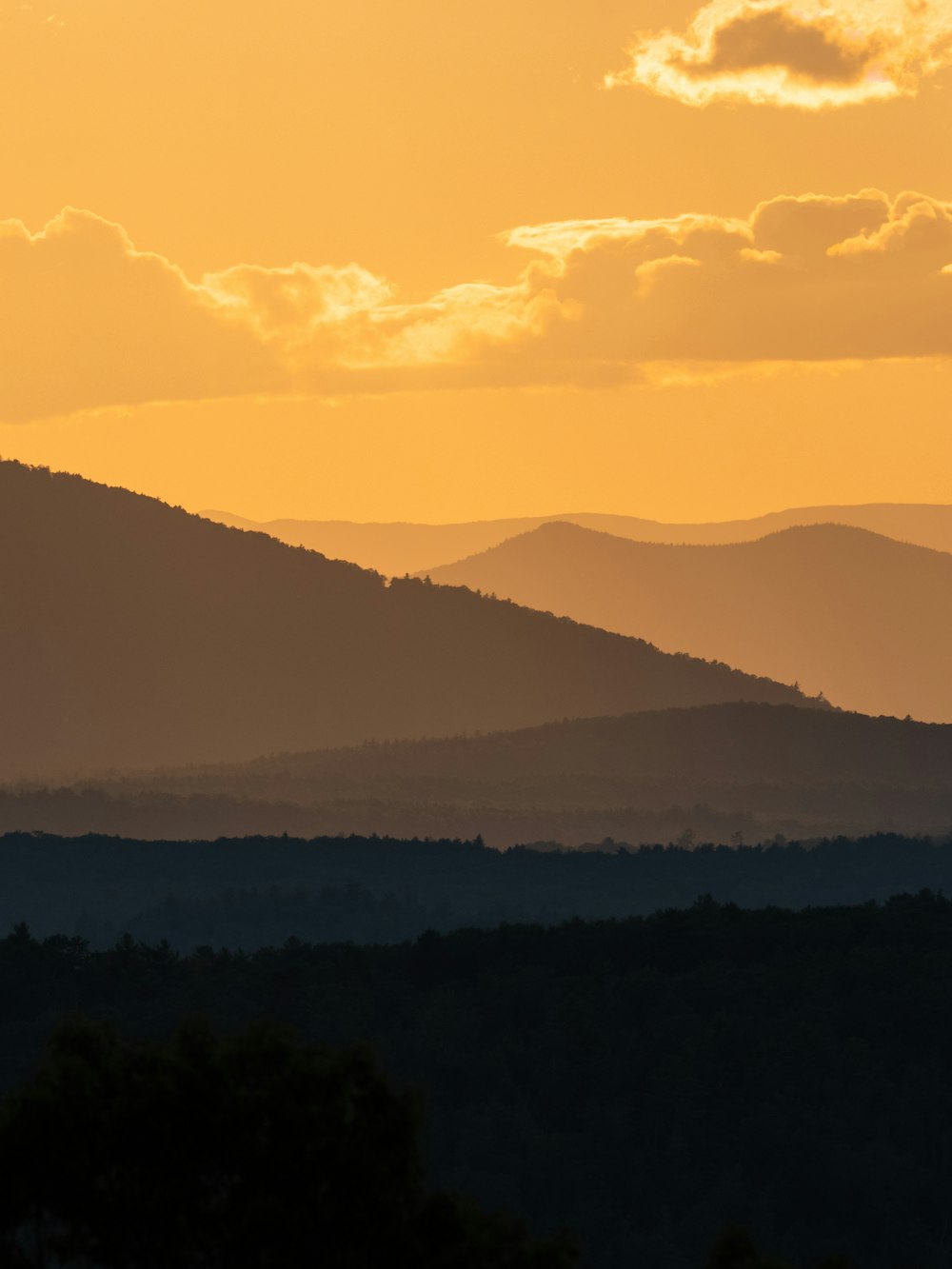 green trees on mountain during daytime