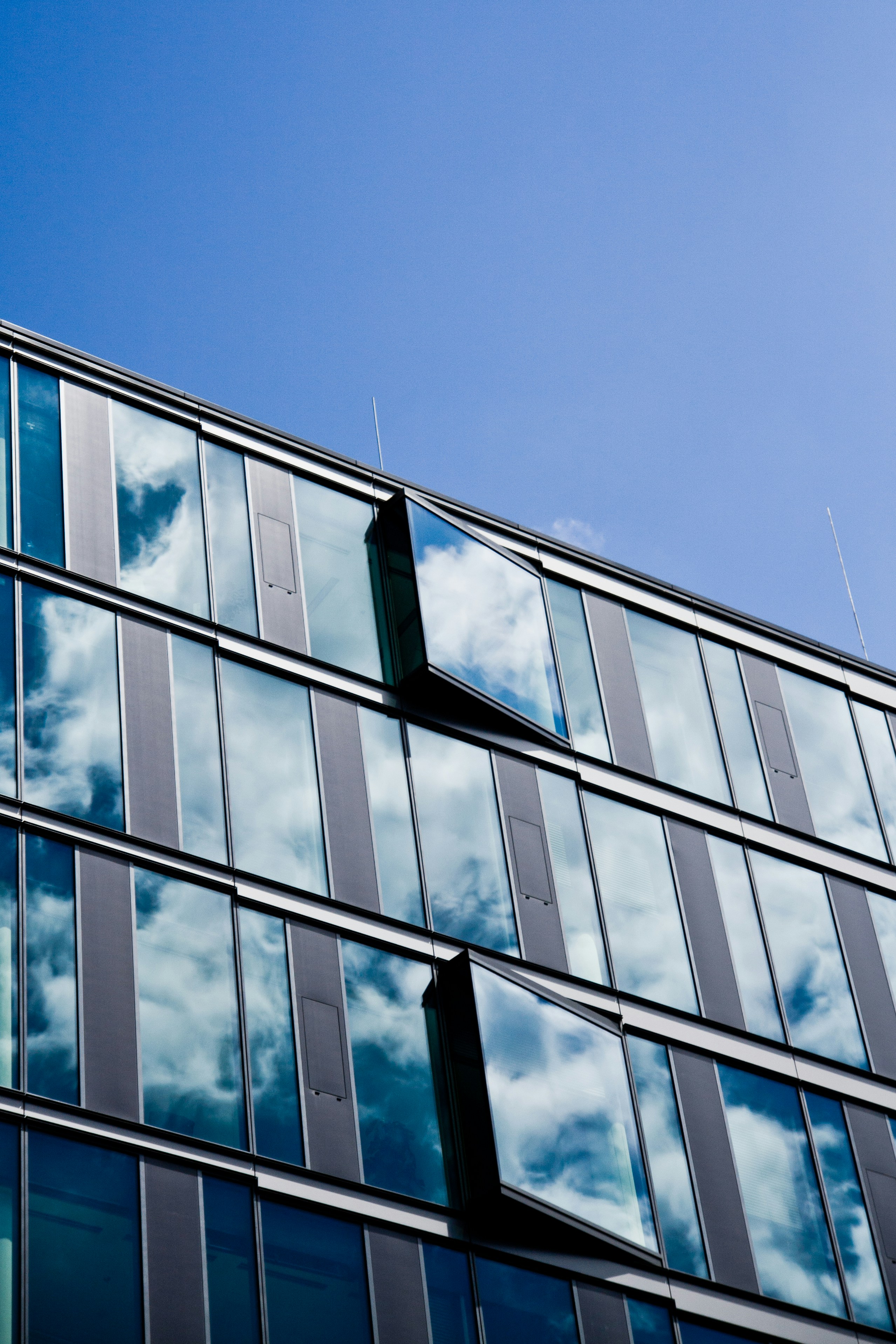 Photo by elimendeinagella